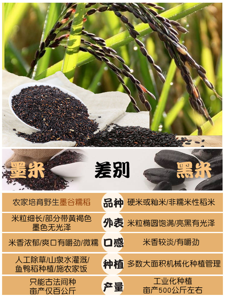 广西新米正宗黑糯米血米饭团包粽子杂粮5斤