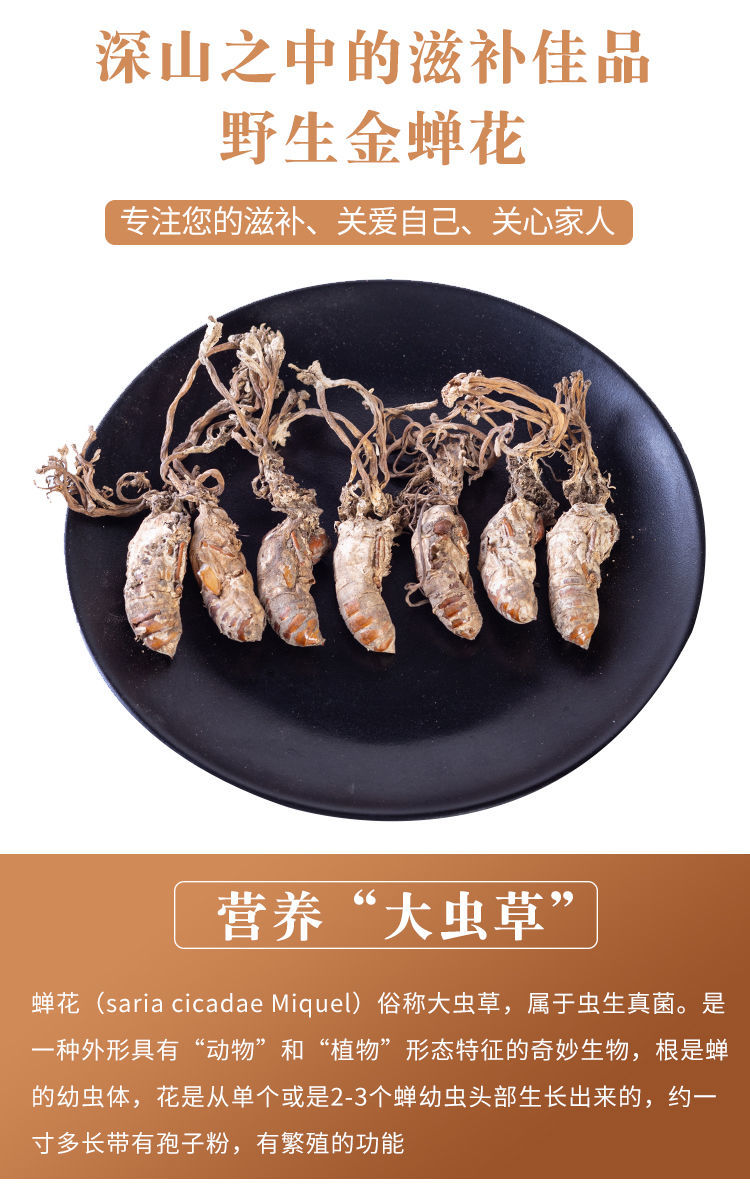 金蝉花500g野生虫草泡酒正宗知了花2021新货金蟾花 精选金蝉花100克