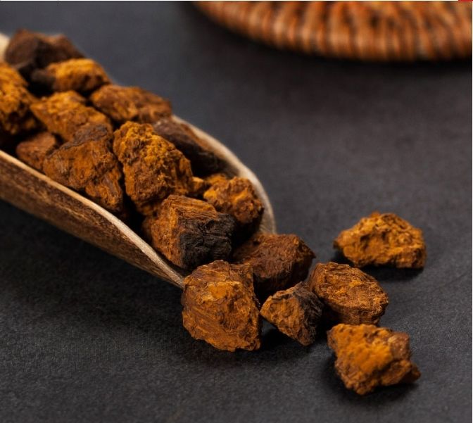 正宗野生长白山桦树茸1斤半斤原装东北批发原生态老茸 桦树茸粉250克