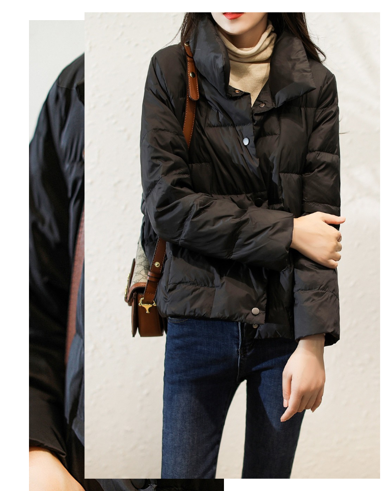 冰洁高端轻奢秋冬季女士修身立领羽绒服女短款轻薄白鸭绒外套保暖内搭