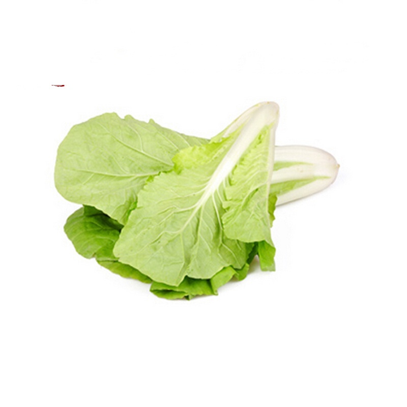 5折 小白菜新鲜杭白菜火锅小青菜蔬菜油白菜白菜秧农家肥大叶菜** 3斤