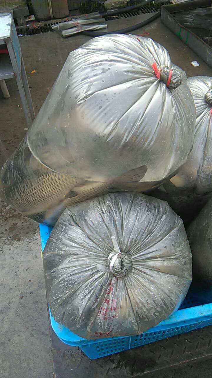 加厚水产市场平口塑料袋活鱼充氧袋钓鱼打包袋子运输装鱼袋子批发灰色