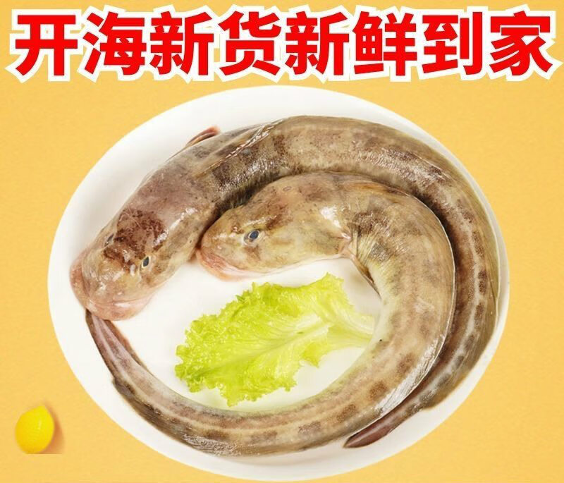 海鲶鱼新鲜海捕沙光鱼新鲜海菇鱼鲜活速冻海鲶鱼胖头