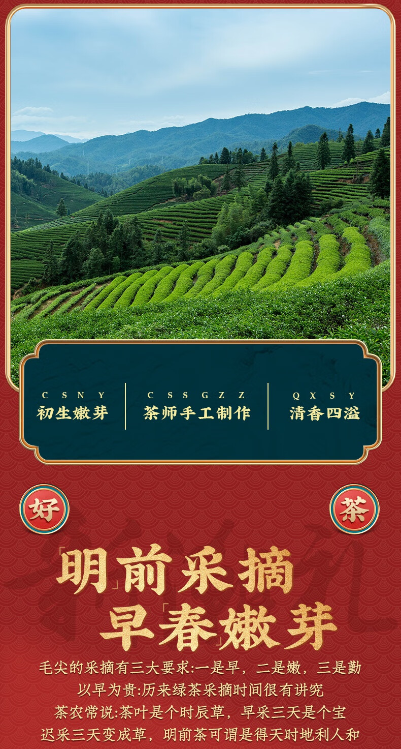 百里挑一信阳春茶上市明前毛尖茶绿茶2021新茶茶叶散装700g茶滋味