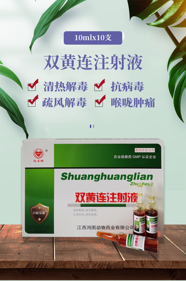 兽药兽用双黄连注射液猪牛羊感冒发烧混合感染江西鸿图清肺止咳清热