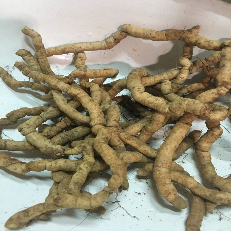 德庆新鲜巴戟天生鲜特级500g男性煲汤泡酒料中药材风流果锁阳玛卡