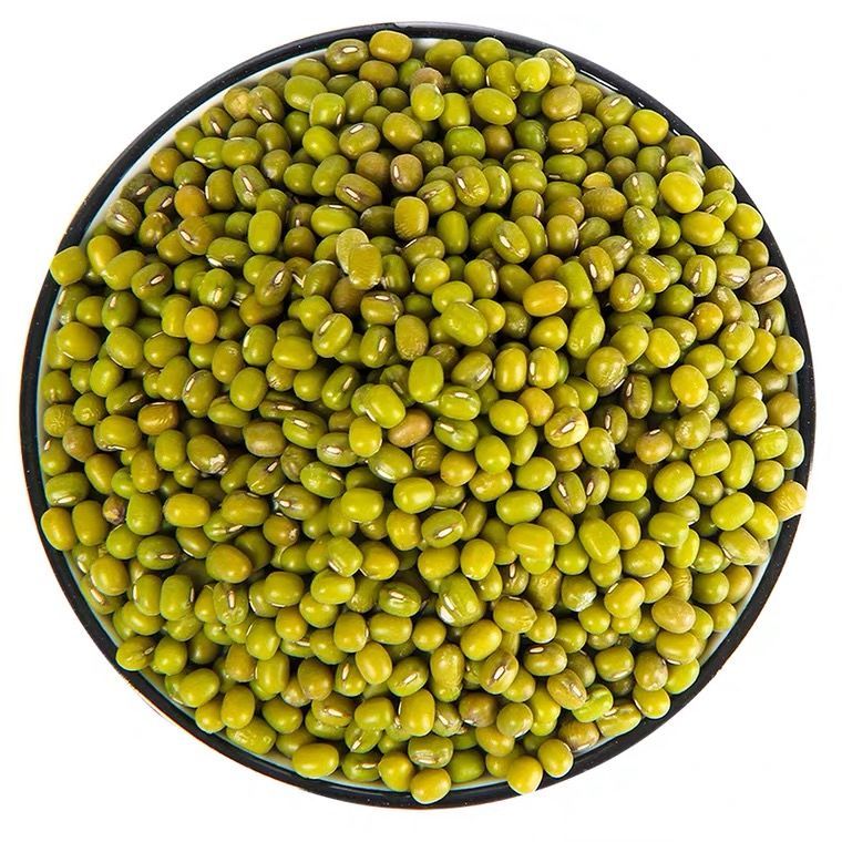 绿豆新鲜农家绿豆粮油颗粒饱满肉多皮薄发豆芽精品绿豆2021新绿豆 二