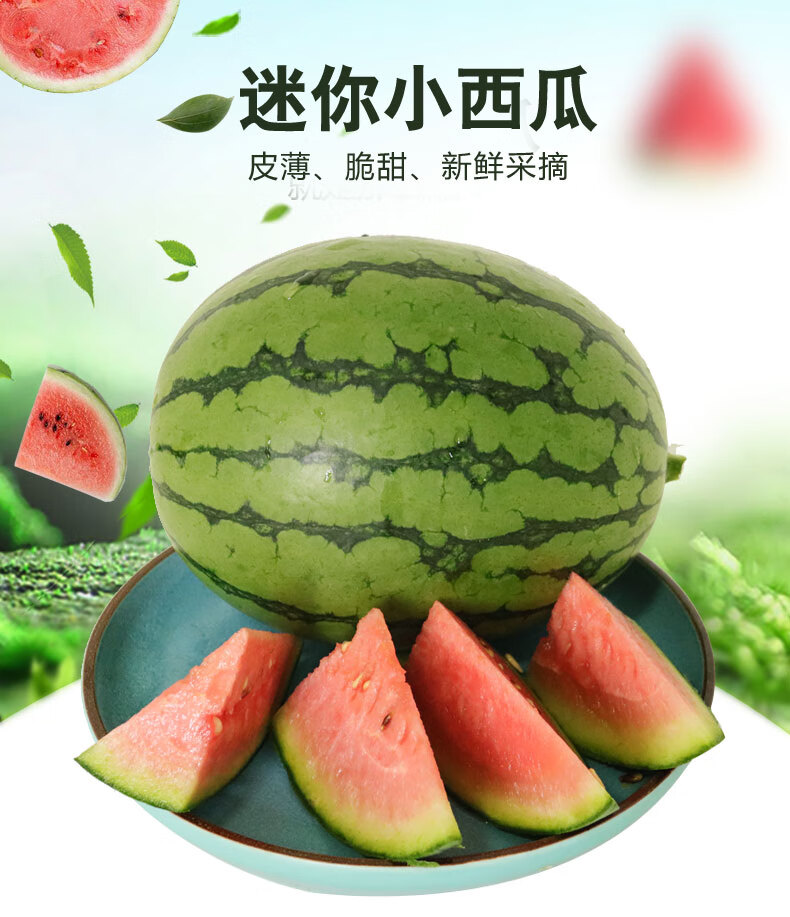 北京当日达庞各庄小西瓜山东汉良牛奶西瓜2粒顺丰吊秧瓜2500g