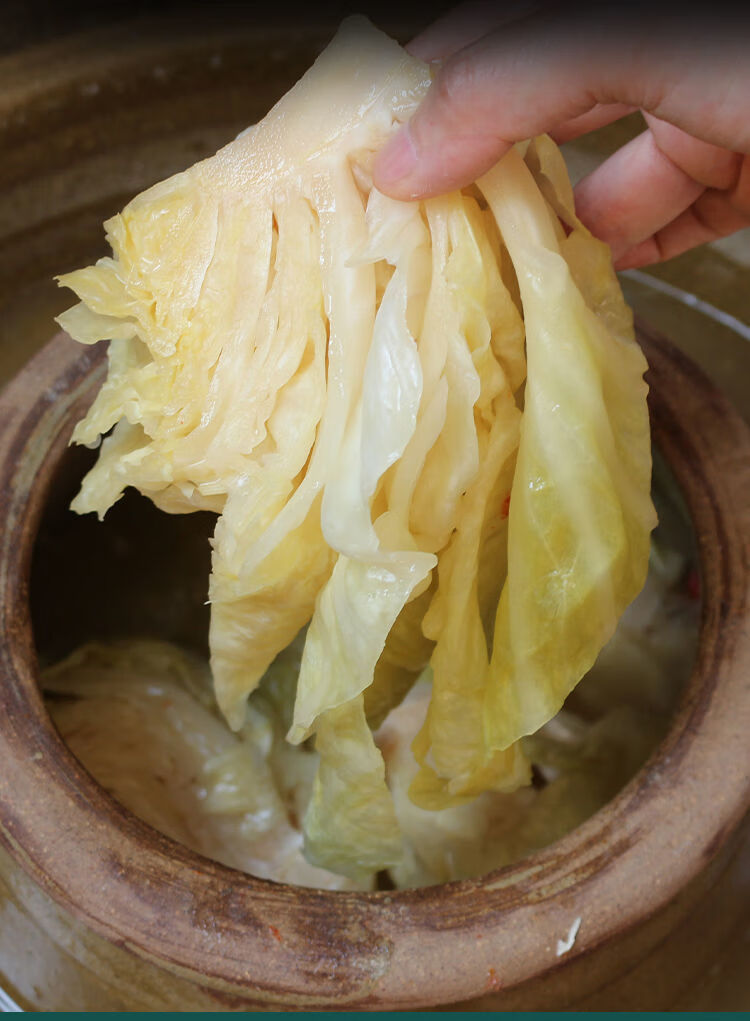 泡包菜下饭菜半斤跳水脆萝卜酸萝卜泡莲花白酸辣泡卷心菜 酸辣泡包菜*