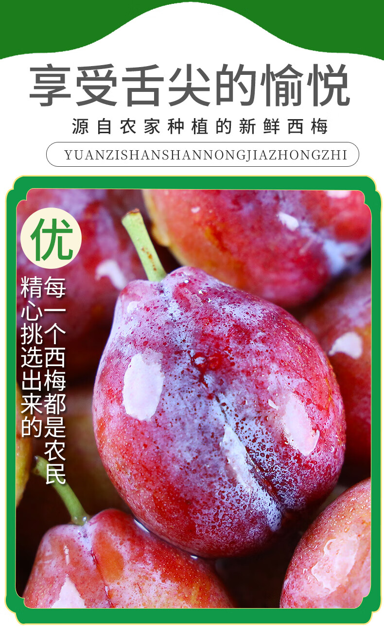 正宗新疆喀什法兰西小西梅 新鲜水果酸甜西梅布林李子特大果精选孕妇