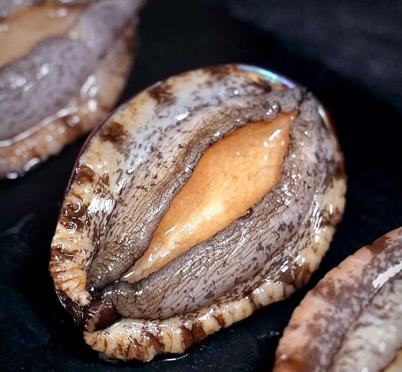 【活鲜】梦尝客鲜活大鲍鱼同城速配 鲜活精品鲍鱼7-9只/斤*2斤【图片