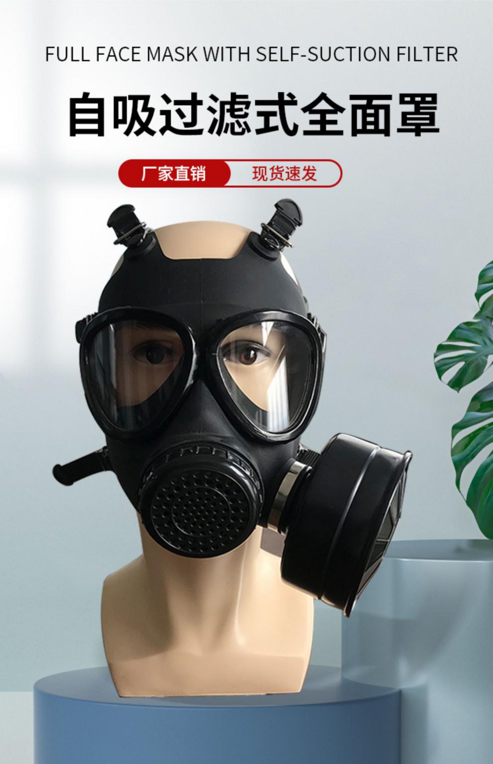 fnm10防毒面具图片