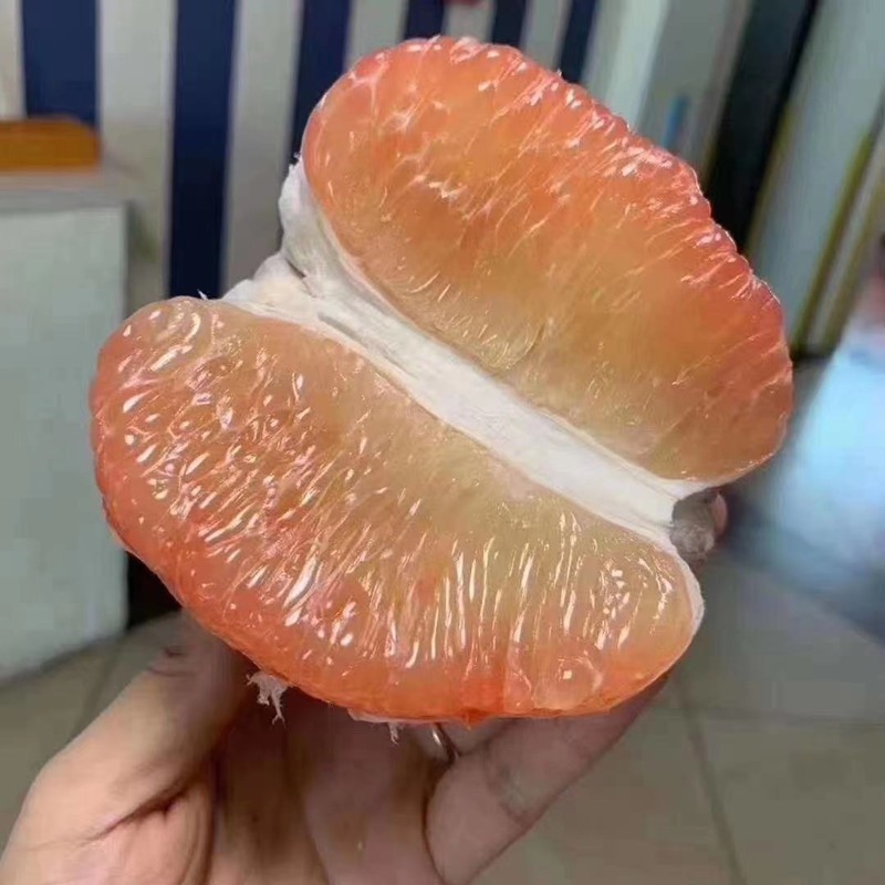 泰国红心翡翠柚子大果新鲜金柚蜜柚当季孕妇水果青皮柚子2个单果23斤