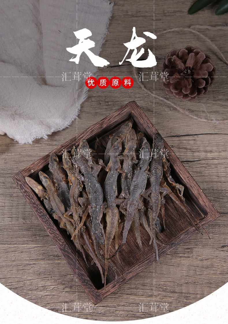 伊梵麦中药材守宫天龙国产品守宫干活天龙干精选天龙干活壁虎20克500g