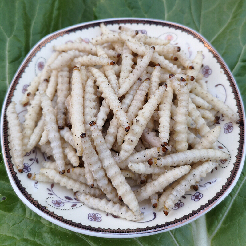 竹虫竹节虫新鲜速冻竹蜂竹笋蛆竹蛹昆虫宴美食2件500g【图片 价格