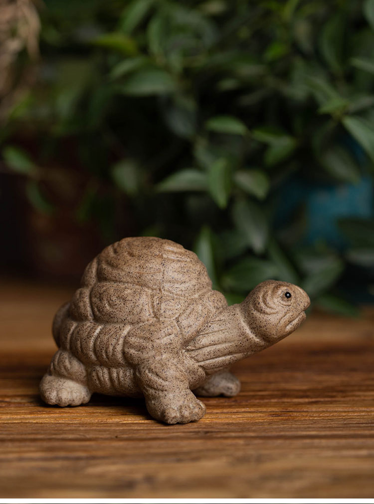 将军龟茶宠木鱼石敢当石纹将军龟茶宠陶沙陆龟家居茶盘小摆件可养茶玩