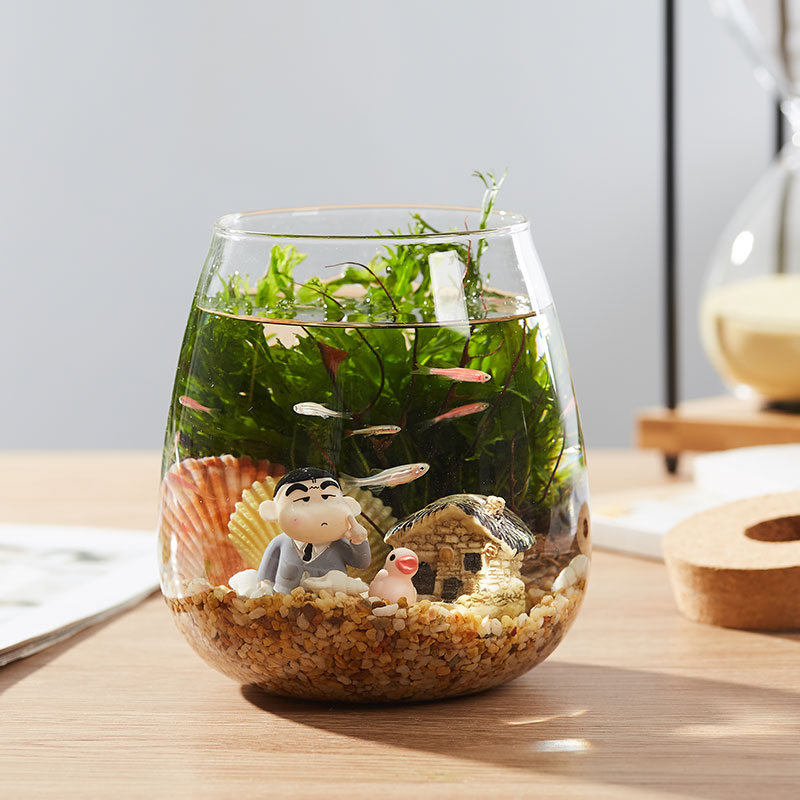 繁殖快的鱼生态瓶鱼微景观免换水diy办公桌面斗鱼小鱼虾造景鱼缸星空