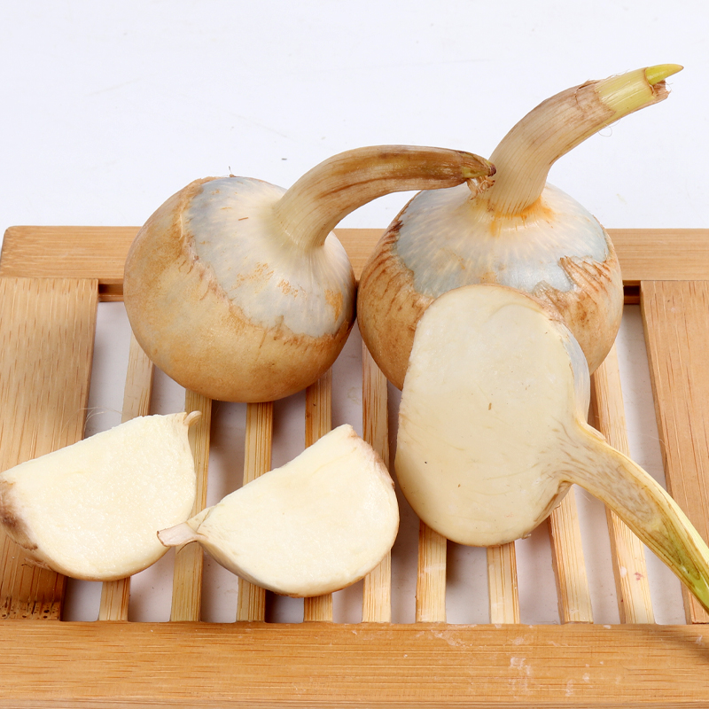 新鲜茨菇广西白茨菰山水恋现挖白慈姑农家蔬菜慈菇塘菇火锅食材2500g