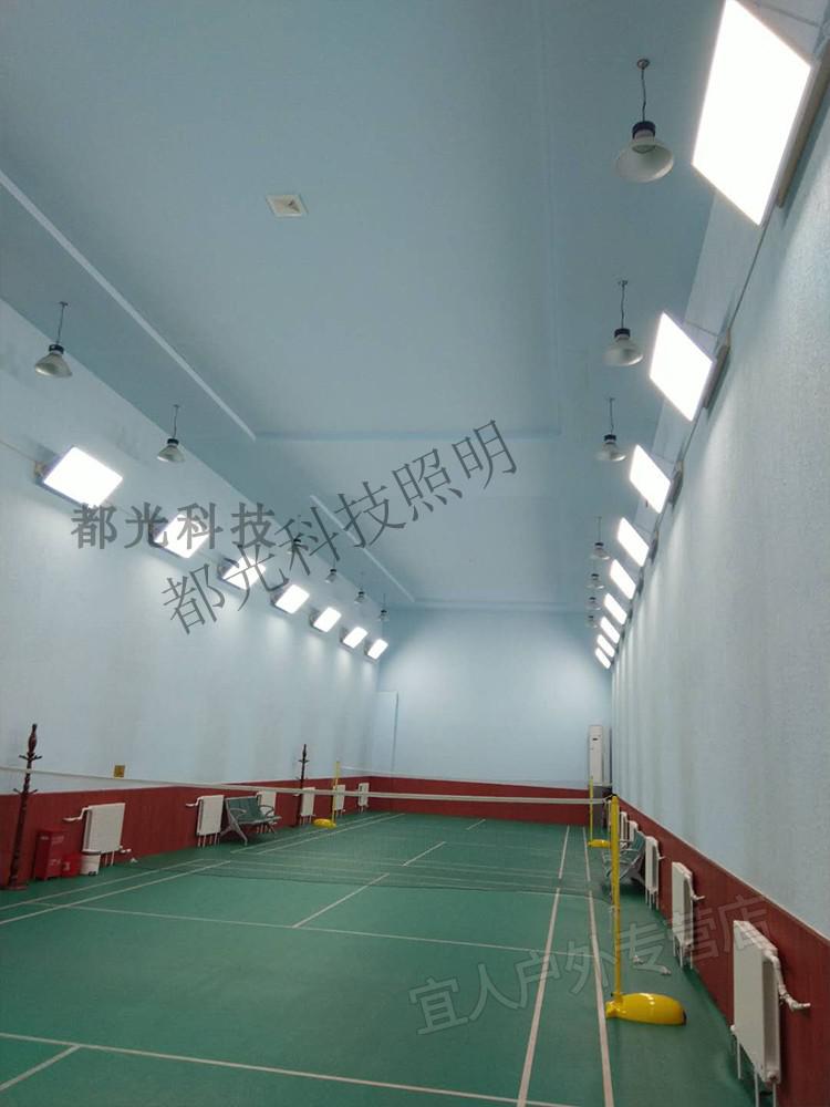 2021羽毛球馆专用灯led升降式羽毛球馆专用灯侧排灯板防刺眼灯防眩目
