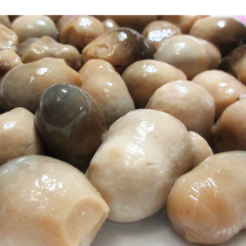 口蘑草菇蘑菇罐头425g4罐双孢菇蔬菜火锅炒菜煲汤披萨沙拉材料口蘑