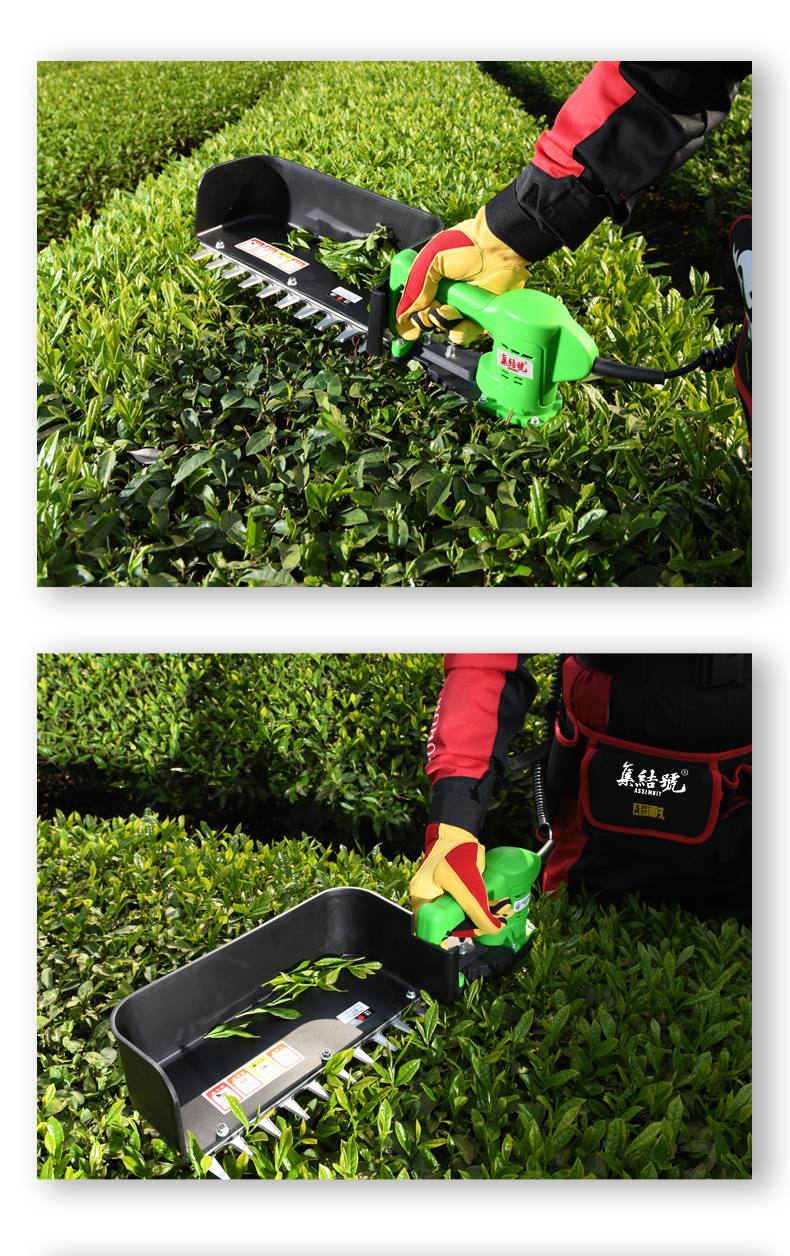 德国集结号采茶机充电无刷电动修剪手持锂电小型家用单人茶叶采摘定制