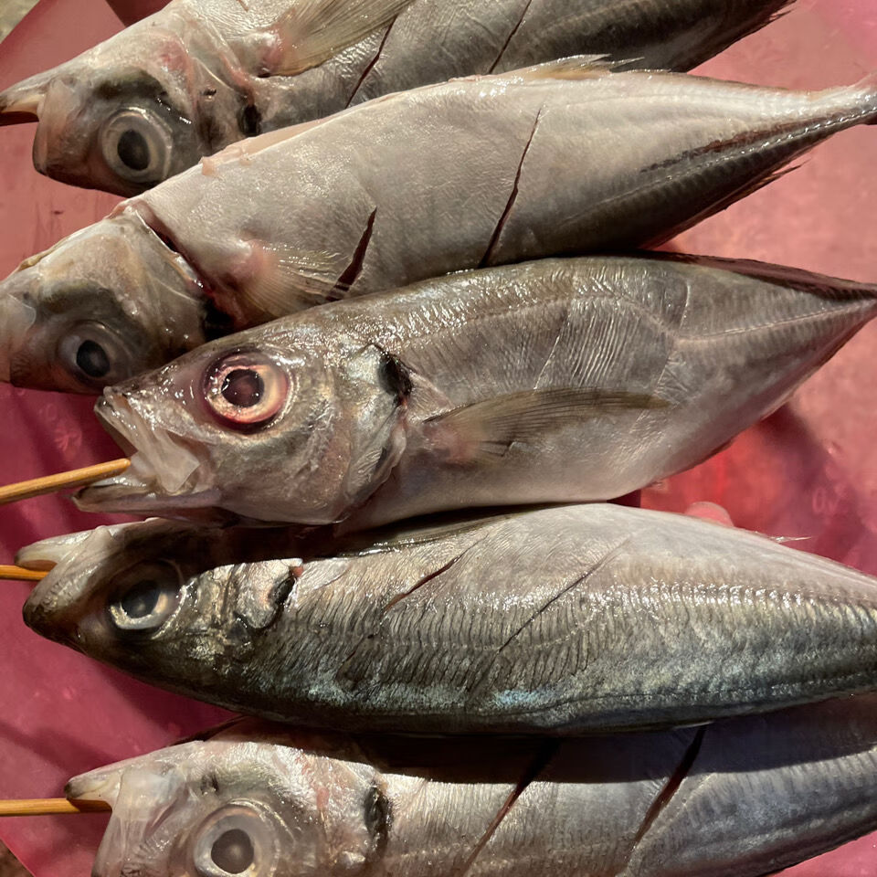 片冻巴浪鱼10斤原条没杀食堂酒店排档快餐店烧烤专用散装2斤35条一斤