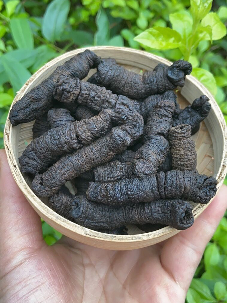 野生盐制巴戟天250g炮制滋补中药材正宗蒸晒鸡肠风煲汤男性泡酒料