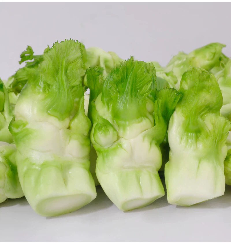 四川特产儿菜新鲜蔬菜10斤农家蔬菜抱儿菜泡菜原料1斤精选儿菜5斤整颗