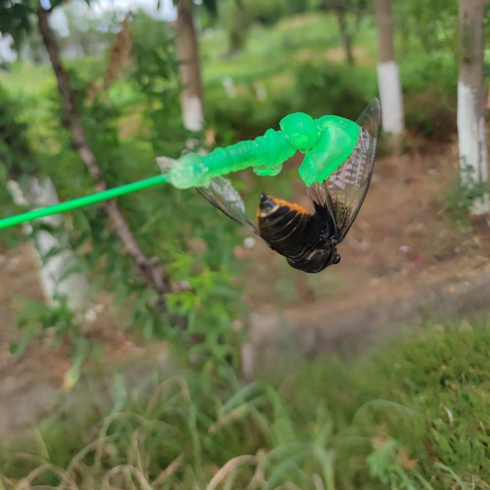 粘知了小绿手知了猴捕捉器抓知了能手粘球捕蝉神器知了杆 小绿手1个