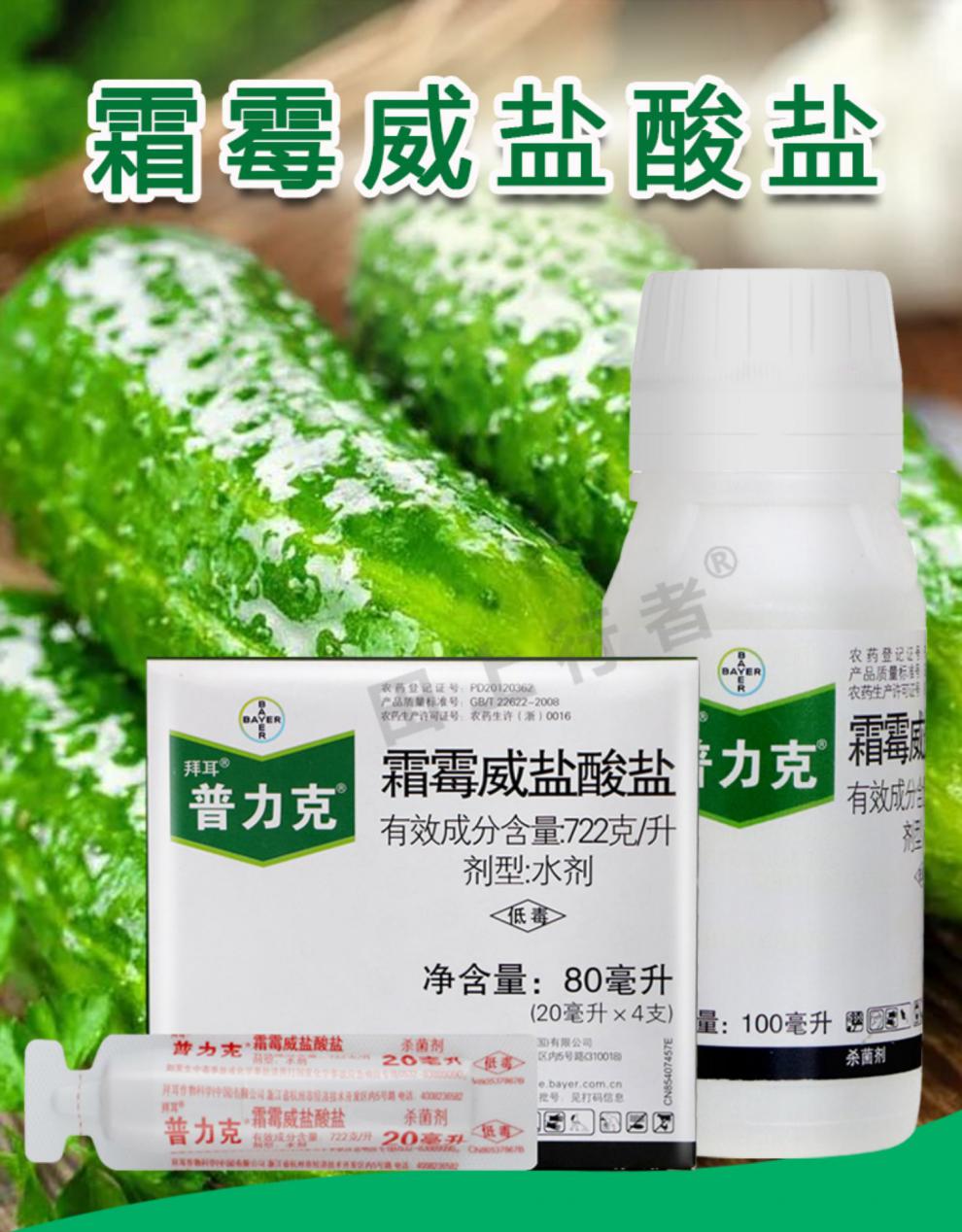 德国拜耳 普力克 霜霉威盐酸盐黄瓜猝倒病疫病霜霉病农药剂 100ml