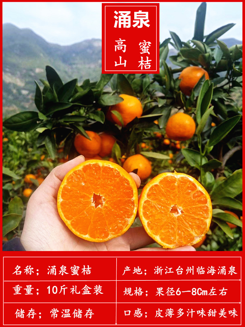 高山蜜桔是哪里(高山蜜桔好吃吗)