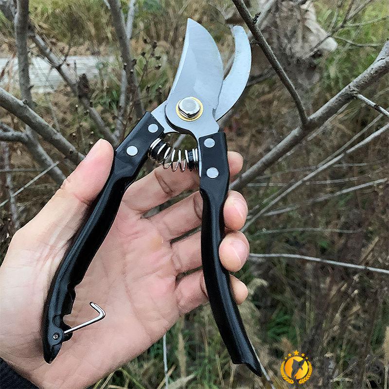 果树剪刀树枝修剪刀果树修剪工具剪枝剪家用绿植花卉剪农用园艺快速