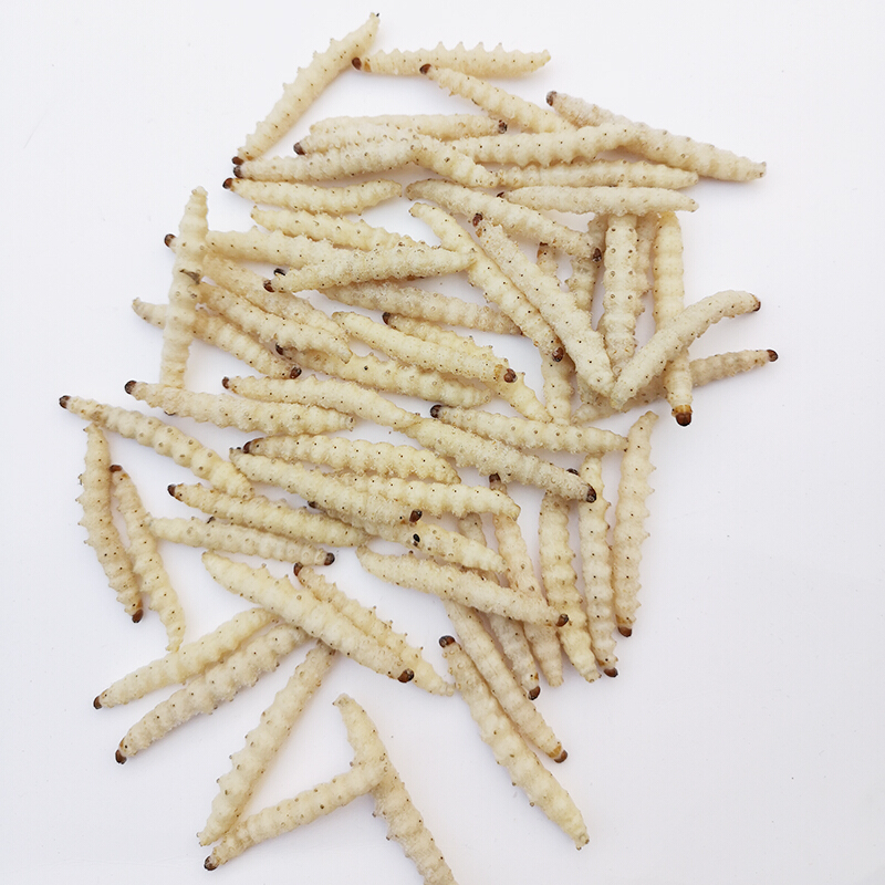 竹虫竹节虫新鲜速冻竹蜂竹笋蛆竹蛹昆虫宴美食2件500g【图片 价格