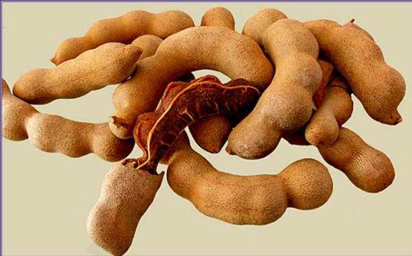 泰国罗望子泰国进口约瑟夫400/袋多规格无核酸角膏酸子酸芷膏罗望子果