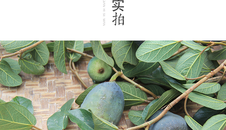 薜荔果新鲜现采深山野生中药材木馒头凉粉果木莲果霹雳果 爱玉果定制