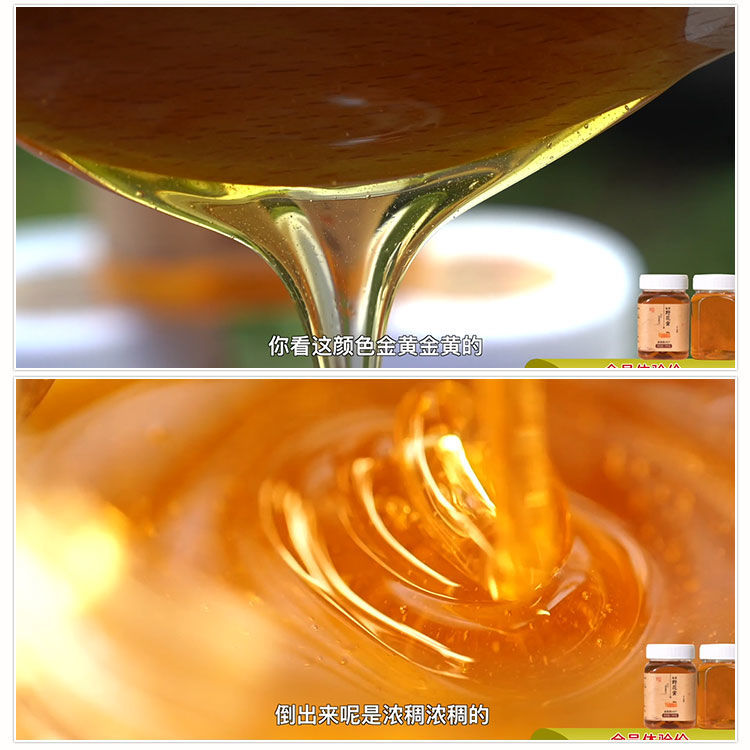 天然高原野花蜜电视同款 500克/瓶 胗膳堂高原野花蜜高原野花蜜青藏