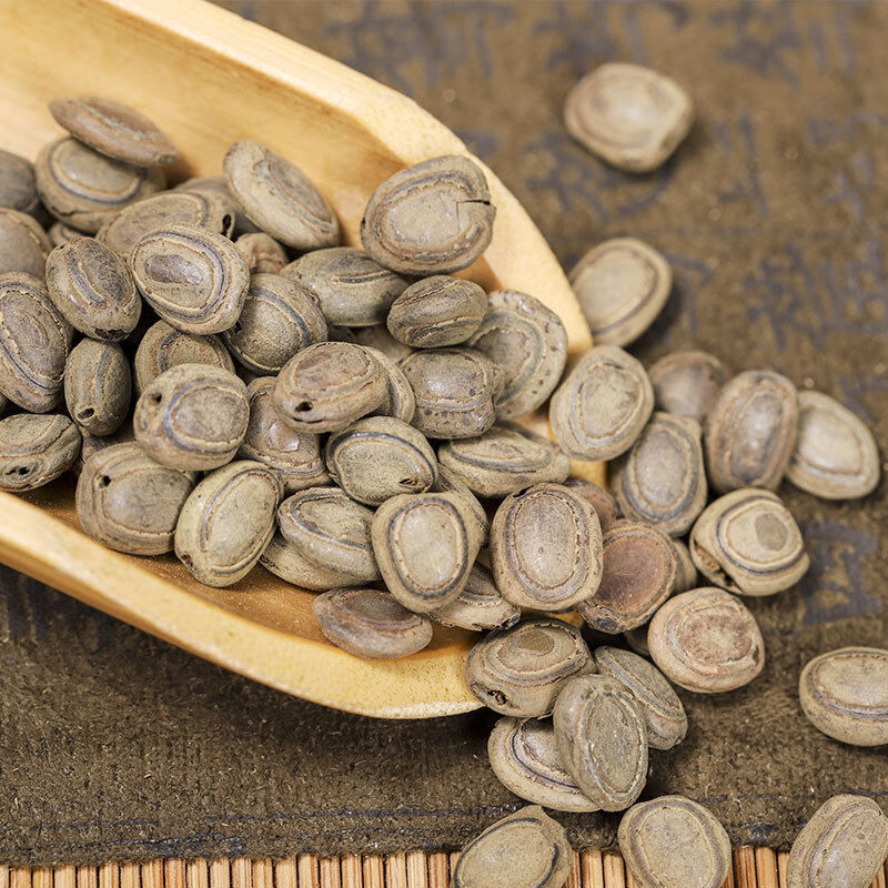 伟博官方猴枣中药材无硫猴子枣猴丹羊肠枣申枣包化验1克旗舰官网 1克