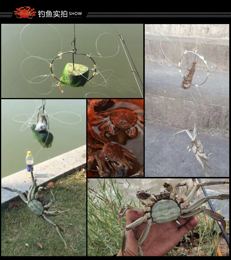 6个圈 钓螃蟹工具螃蟹套螃蟹箍螃蟹钩钓螃蟹圈螃蟹套蟹箍 6个圈 螃蟹