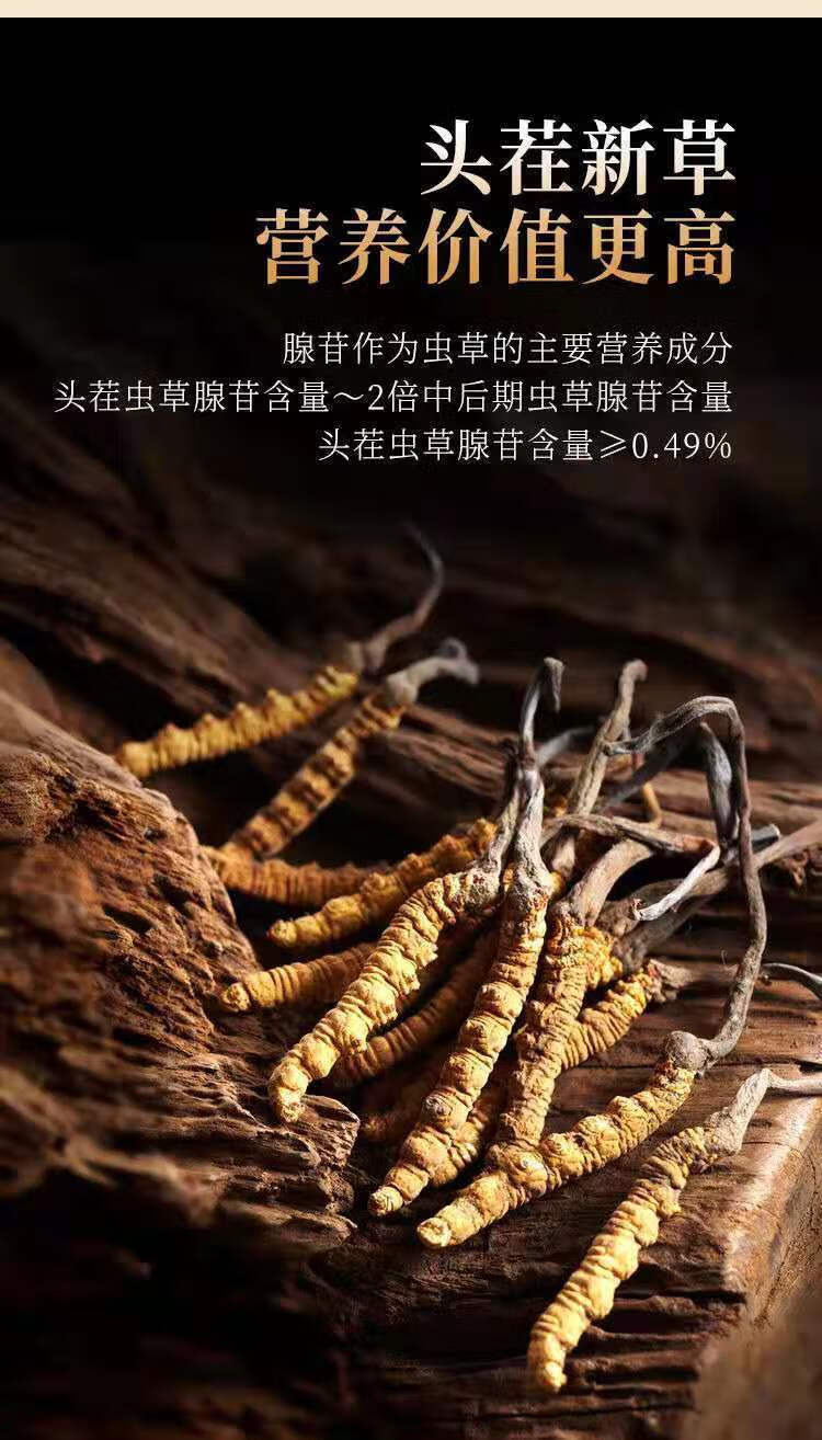 虫草甘孜头期冬虫草非西藏那曲青海玉树冬虫夏草精选礼盒精选一级别