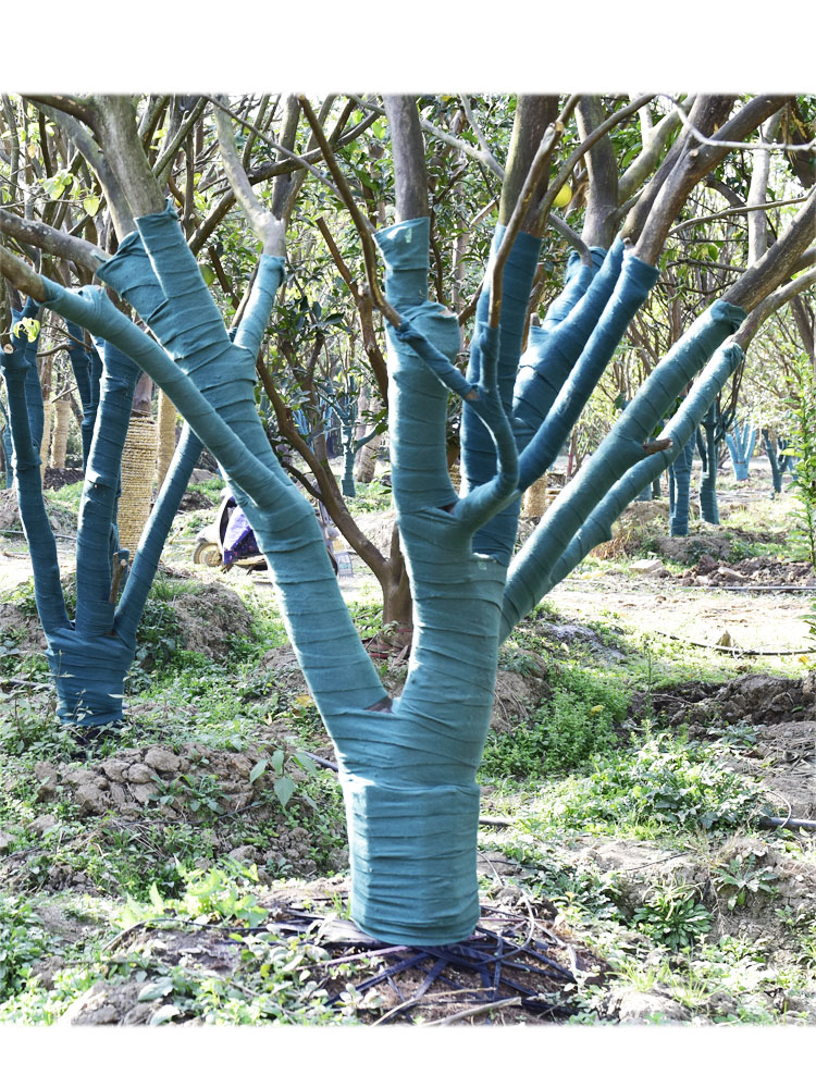 裹树布包树布缭绕树木防寒防冻保温保湿无纺布园林绿化保暖缠树带