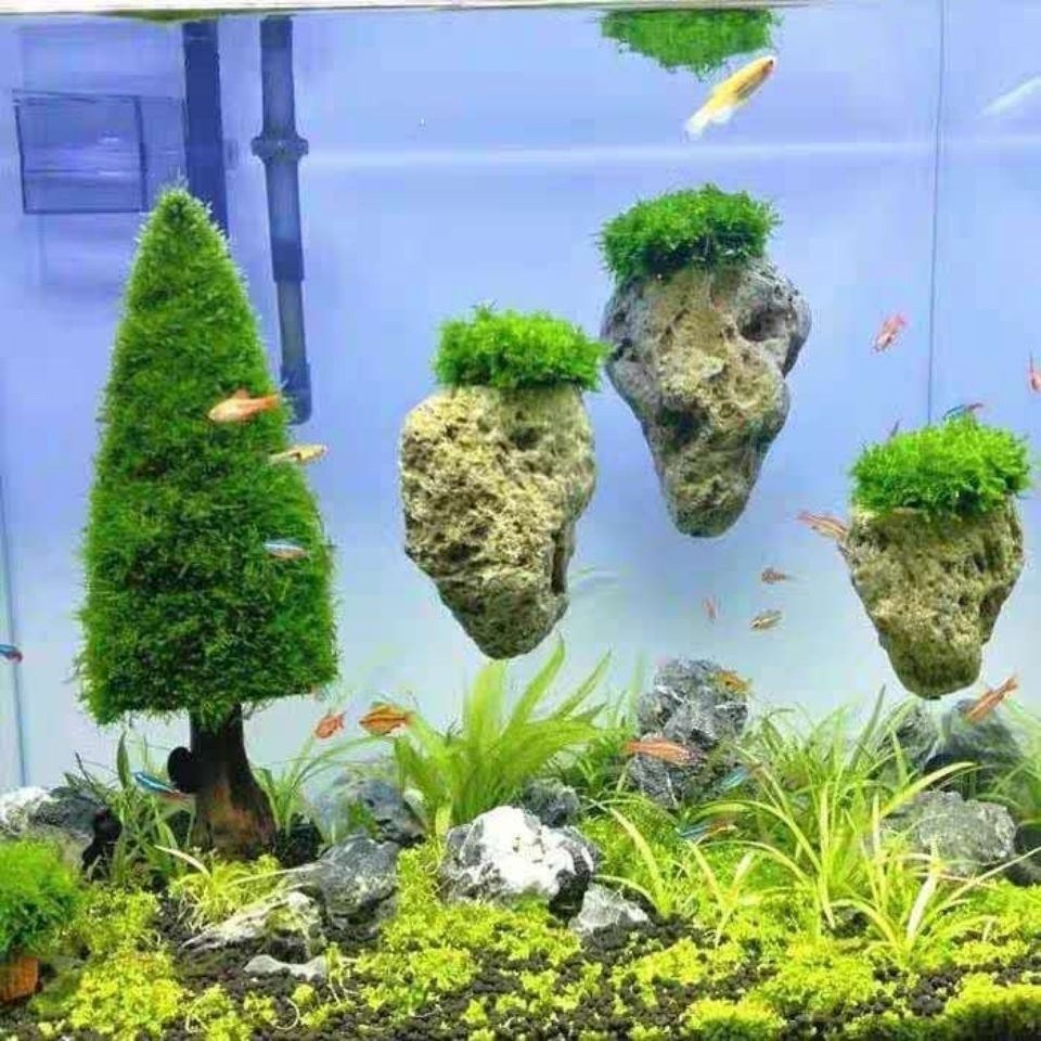 鱼缸造景浮石水草缸装饰浮石阿凡悬浮石莫斯浮石水族造景石35厘米浮石