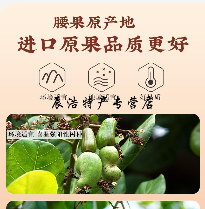 5折2021年新带衣腰果500g罐装紫新鲜原味零食5斤装特大颗粒批发大罐装