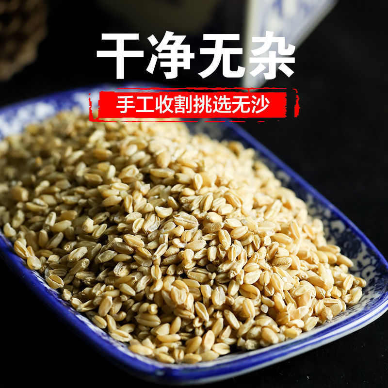 同仁堂伟博官方浮小麦止汗中药材新货无硫炒浮小麦自汗盗汗小麦瘪小麦