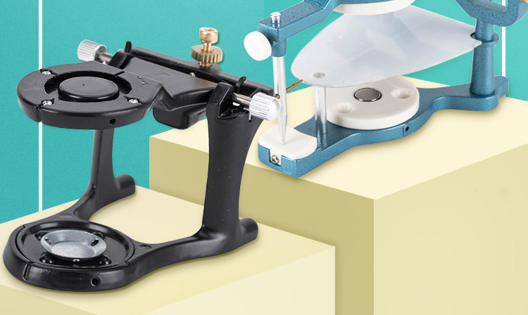 牙科咬合架口腔全口磁铁咬颌架蛤蟆合架齿科技工石膏解剖式大小号大号