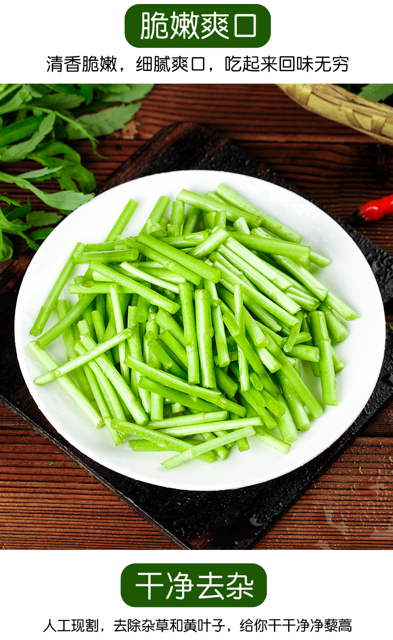 蘆蒿新鮮當季藜蒿去根去葉蘆蒿農家自種泥蒿新鮮蔬菜野菜聖誕團建活動