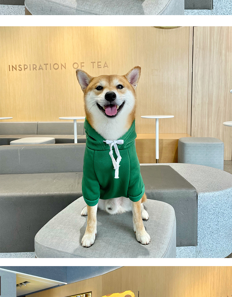 宠物连帽卫衣小狗衣服冬天幼犬中小型犬抓绒保暖卫衣柴犬搞笑青蛙衣服