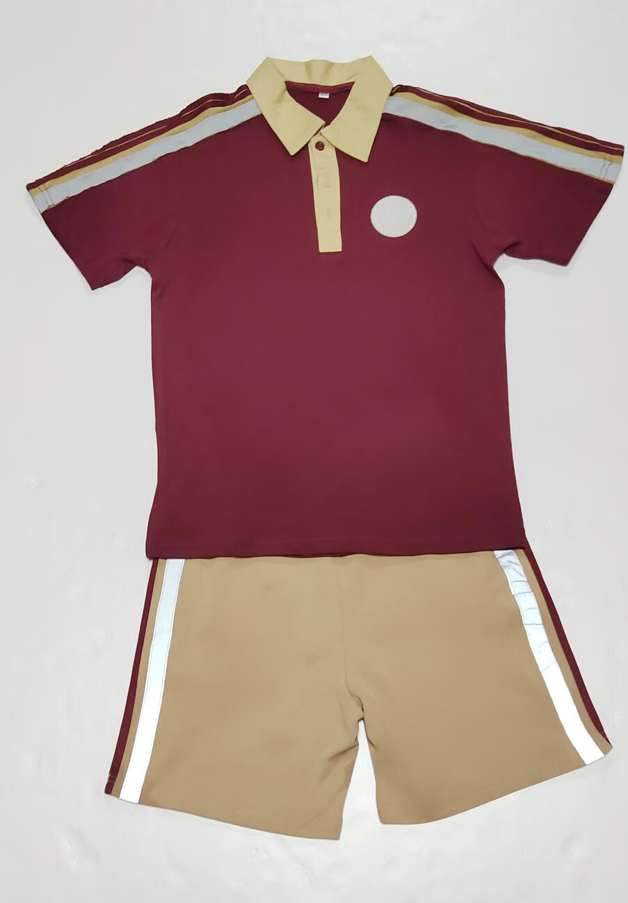 德莉娅东莞市大岭山镇博雅外国语学校夏秋冬季小学生和初中生纯棉校服