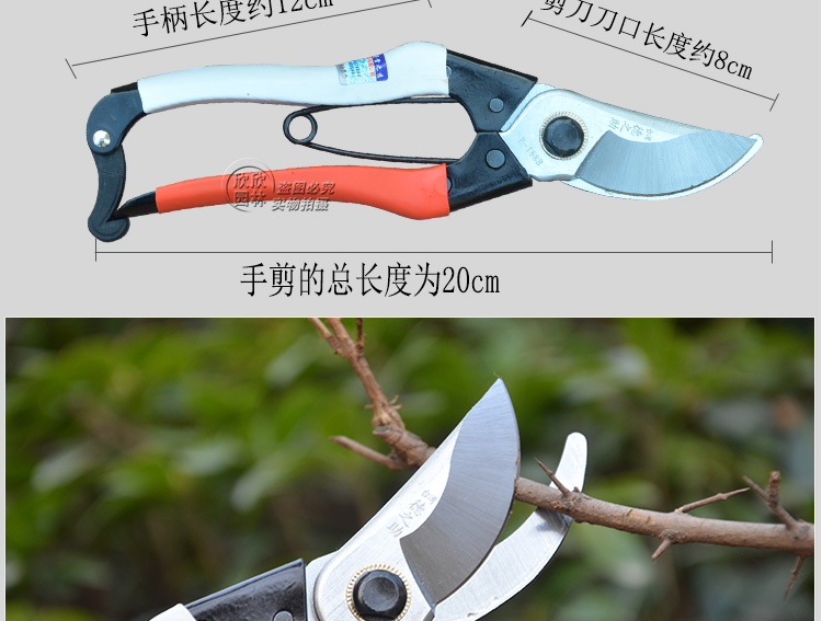德之助修枝剪果树剪园艺剪刀修枝剪刀花剪树枝果树园林剪刀德之助168