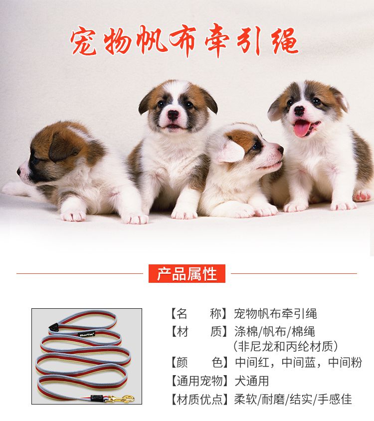 牵狗绳中型犬宠物帆布牵引绳训狗绳加长加固金毛拉布拉多通用中型犬