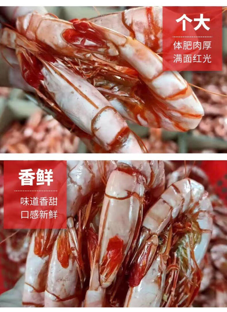 橙伯乐九节虾特大虾干 【海南特产】斑节虾九节虾干货即食 多规格 干